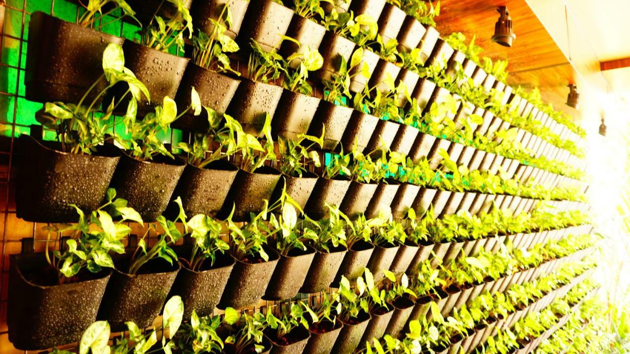 Thayamkery'S Royal Inn Kochi Exterior foto